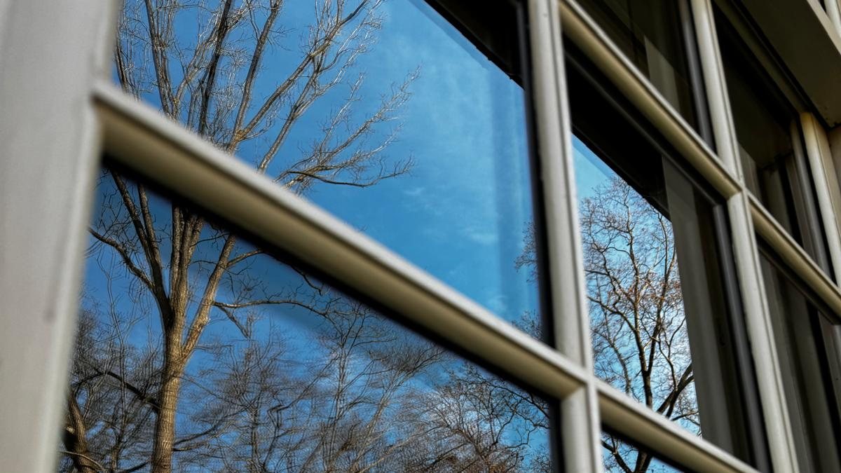 A freshly cleaned picture window reflecting bare winter trees and a clear blue sky