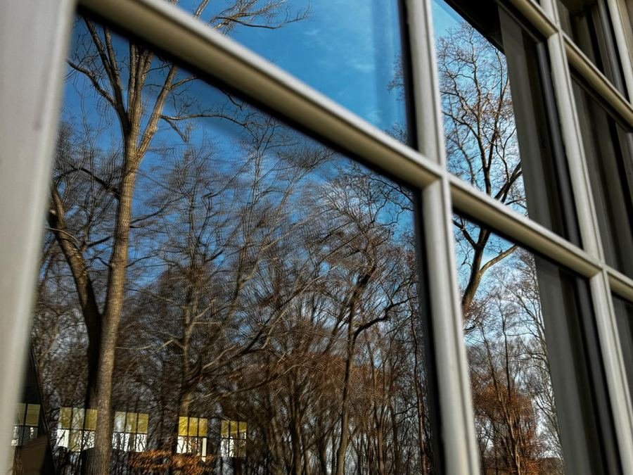 Bare winter trees and blue sky mirrored in a spotless window pane